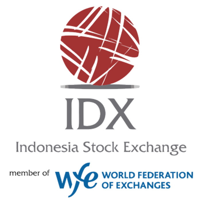 -LOGO IDX-