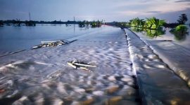 -LUAPAN AIR- Jalur KA antara Stasiun Gubug - Stasiun Karangjati , Kabupaten Grobogan karena adanya luapan air Sungai Tuntang pada Minggu, 9 Maret 2025 mulai pukul 05.27 WIB. Foto : Dok.KAI/metrojateng.id