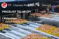 PENIPUAN - Contoh penipuan penawaran telur dengan harga murah  melalui medsos yang mencatut nama PT Charoen  Pokphand CP). masyarakat diminta waspada agar tidak terkecoh ulah para penipu. (Ist/tya)