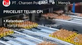 PENIPUAN - Contoh penipuan penawaran telur dengan harga murah  melalui medsos yang mencatut nama PT Charoen  Pokphand CP). masyarakat diminta waspada agar tidak terkecoh ulah para penipu. (Ist/tya)