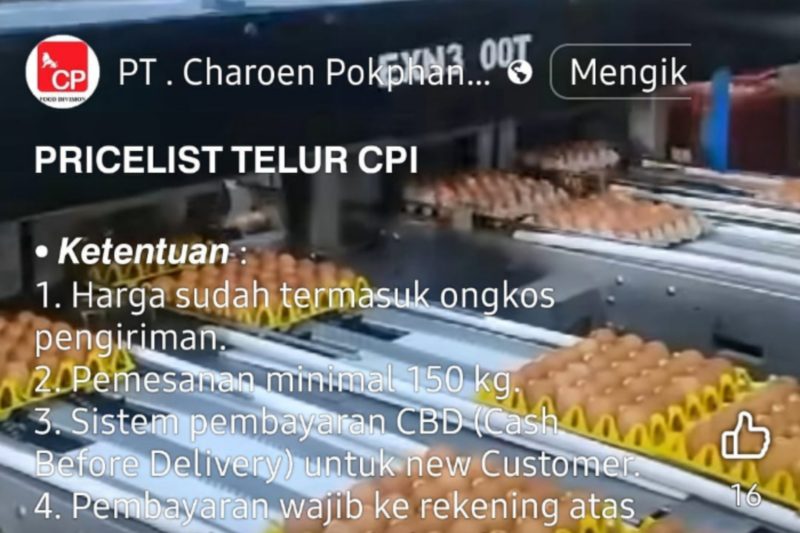 PENIPUAN - Contoh penipuan penawaran telur dengan harga murah  melalui medsos yang mencatut nama PT Charoen  Pokphand CP). masyarakat diminta waspada agar tidak terkecoh ulah para penipu. (Ist/tya)