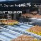 PENIPUAN - Contoh penipuan penawaran telur dengan harga murah  melalui medsos yang mencatut nama PT Charoen  Pokphand CP). masyarakat diminta waspada agar tidak terkecoh ulah para penipu. (Ist/tya)