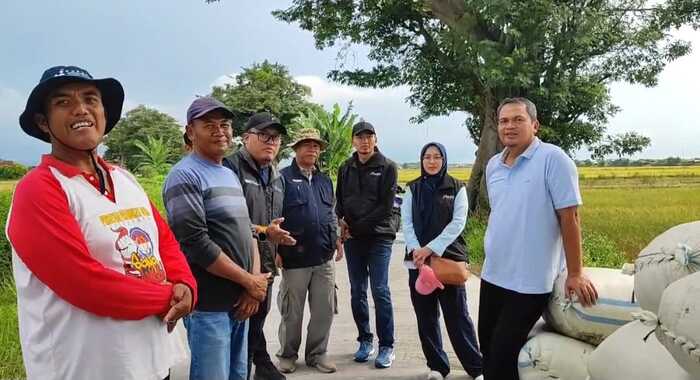 -MONITORING- Direktur Operasional dan Pelayanan Publik Perum BULOG, M. Suyamto, melakukan 'Monitoring Pengadaan Gabah Kering Panen (GKP) Tahun 2025 di Wilayah Kerja Kanwil Jateng', Kamis (3/4/2025), di Desa Turunrejo, Kecamatan Brangsong, Kabupaten Kendal. Foto : Dok.BULOG/metrojateng.id
