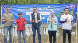 - TANAM MANGROVE- Dalam ramgka mendukung kelestarian Ekosistem Laut, Bank Raya menanam ribuan pohon bakau, yang berkolaborasi dengan Kelompok Petani untuk Literasi Keuangan, di Semarang, Jumat (13/6/2025). Foto : Dok.Humas/metrojateng.id