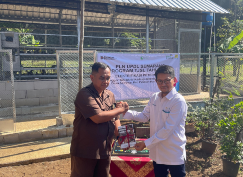 ELEKTRIFIKASI PETERNAKAN - Manajer PLN UPDL Semarang, Djubaidillah, melalui program Tanggung Jawab Sosial dan Lingkungan (TJSL) bersama Fakultas Peternakan Undip melakukan sosialisasi program elektrifikasi di peternak ayam dan burung puyuh di kabupaten Semarang. (ist/Tya)