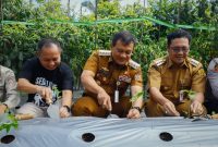 Gubernur Jateng, Ahmad Luthfi ikut turun ke kebun cabai, menanam dan memetik bersama para petani di Desa Banyusidi, Kecamatan Pakis, Kabupaten Magelang, Senin 22 September 2025