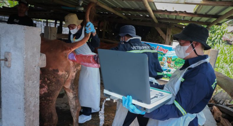 foto slider headline