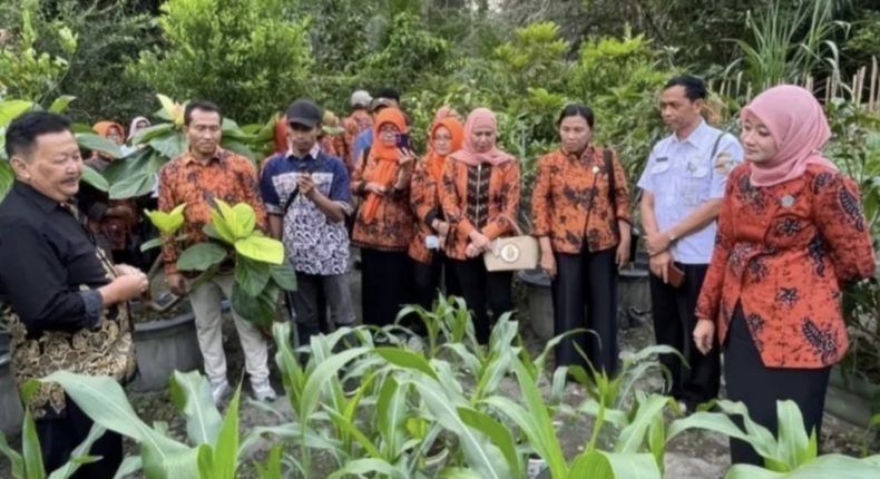 foto slider headline