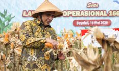 berita-pilihan-foto