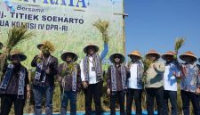 PANEN RAYA – Ketua Komisi IV DPR RI, Titiek Soeharto, bersama jajaran pemerintah, petani, dan pemangku kepentingan berfoto usai mengikuti kegiatan panen raya padi. Kegiatan ini menjadi bagian dari upaya memperkuat ketahanan pangan nasional sekaligus memberikan dukungan kepada para petani dalam meningkatkan produktivitas pertanian. Foto : Dok.Bulog/metrojateng.id