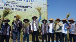 PANEN RAYA – Ketua Komisi IV DPR RI, Titiek Soeharto, bersama jajaran pemerintah, petani, dan pemangku kepentingan berfoto usai mengikuti kegiatan panen raya padi. Kegiatan ini menjadi bagian dari upaya memperkuat ketahanan pangan nasional sekaligus memberikan dukungan kepada para petani dalam meningkatkan produktivitas pertanian. Foto : Dok.Bulog/metrojateng.id