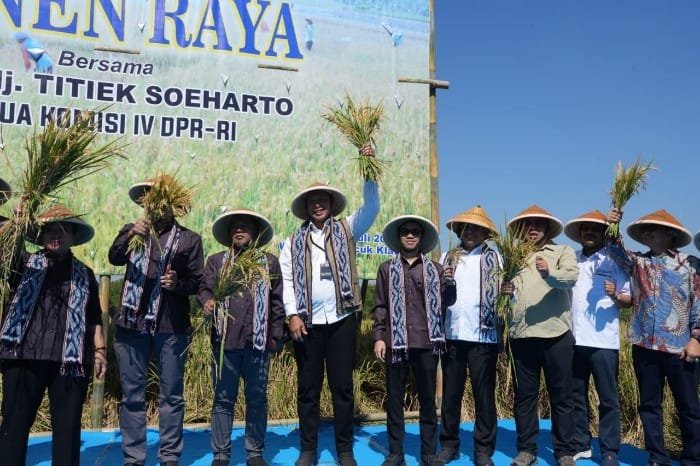 PANEN RAYA – Ketua Komisi IV DPR RI, Titiek Soeharto, bersama jajaran pemerintah, petani, dan pemangku kepentingan berfoto usai mengikuti kegiatan panen raya padi. Kegiatan ini menjadi bagian dari upaya memperkuat ketahanan pangan nasional sekaligus memberikan dukungan kepada para petani dalam meningkatkan produktivitas pertanian. Foto : Dok.Bulog/metrojateng.id