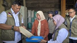 CEK KUALITAS BERAS – Direktur Utama Perum BULOG, Letjen TNI (Purn.) Dr. Ahmad Rizal Ramdhani, didampingi Pemimpin Wilayah Perum BULOG Kanwil Jawa Tengah, Sri Muniati, meninjau kualitas beras hasil penggilingan saat monitoring di mitra penggilingan UD Gunslep, Desa Turi Tempel, Kecamatan Guntur, Kabupaten Demak, Rabu (29/7/2026). Monitoring dilakukan untuk memastikan mutu Cadangan Beras Pemerintah (CBP) tetap terjaga sekaligus memperkuat peran penggilingan rakyat dalam mendukung ketahanan pangan nasional. FOTO : DOK.BULOG/METROJATENG.ID