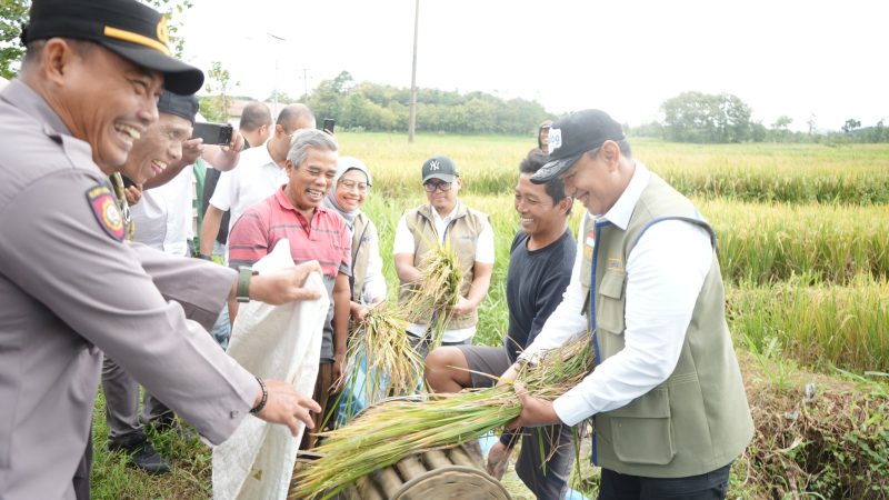 CAPAIAN PENGADAAN – Perum BULOG mencatat realisasi pengadaan beras nasional mencapai 4,11 juta ton hingga 8 Oktober 2026, menjadi capaian tertinggi sepanjang sejarah perusahaan. FOTO: DOK. BULOG