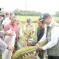 CAPAIAN PENGADAAN – Perum BULOG mencatat realisasi pengadaan beras nasional mencapai 4,11 juta ton hingga 8 Oktober 2026, menjadi capaian tertinggi sepanjang sejarah perusahaan. FOTO: DOK. BULOG