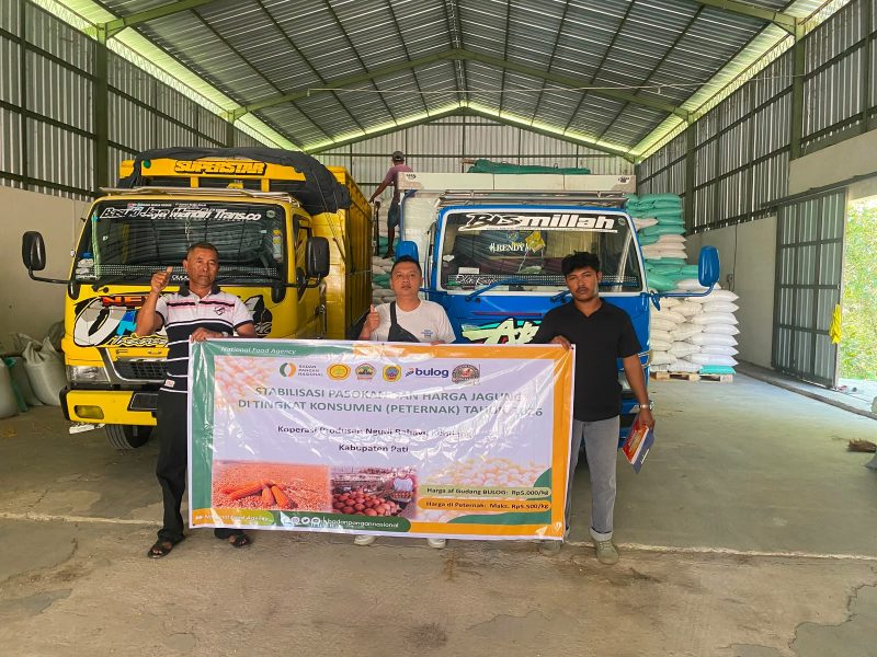 - STABILITAS PAKAN – Perum BULOG Jawa Tengah mempercepat penyaluran jagung pakan melalui program SPHP dengan harga Rp 5.000 per kilogram untuk membantu peternak memperoleh bahan baku pakan yang terjangkau. Foto : Dok.Bulog/metrojateng.id